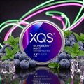 XQS Blueberry Mint Nicotine Pouches - 4mg