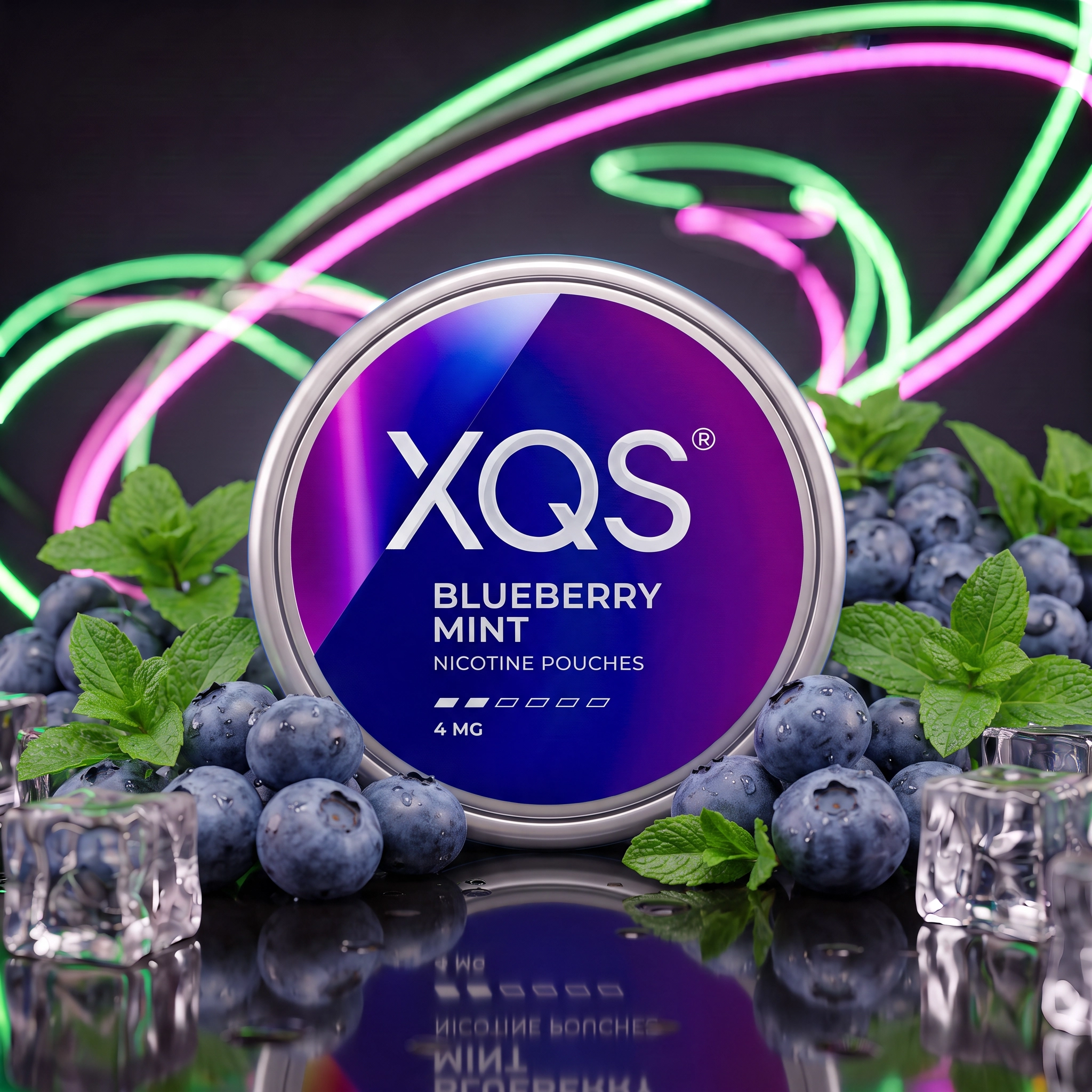 XQS Blueberry Mint Nicotine Pouches - 4mg