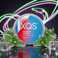 XQS Winter Green Nicotine Pouches - 4mg
